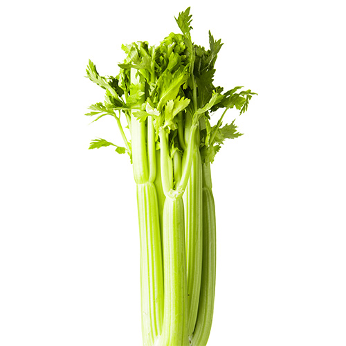 0360509a18e7ceaca97134fd8c9e6494_1510800092_7986.jpg